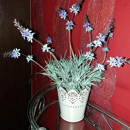 Vandrerhjem Lawendowy *