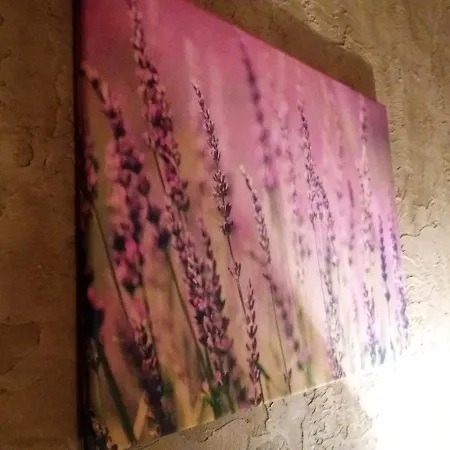 بيت شباب Lawendowy كراكوفيا